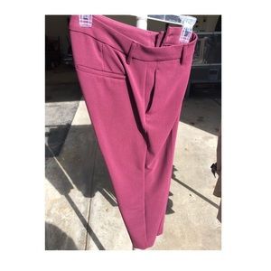 Burgundy slacks